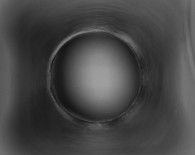 X0000100401524200806061305