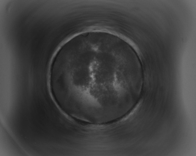 X0000100401525200806061305