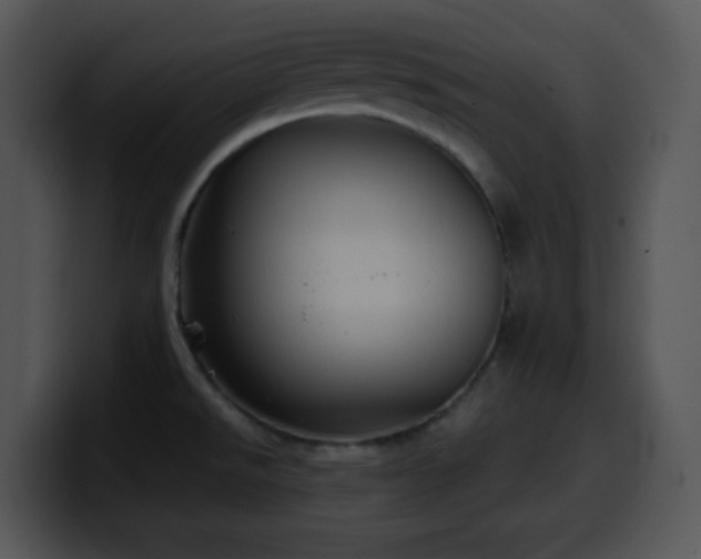 X0000100401526200806061305