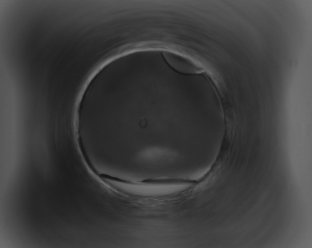 X0000100401527200806061305