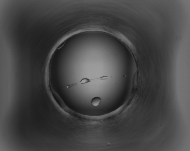 X0000100401528200806061305