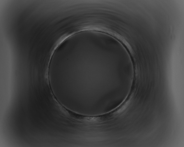 X0000100401529200806061305