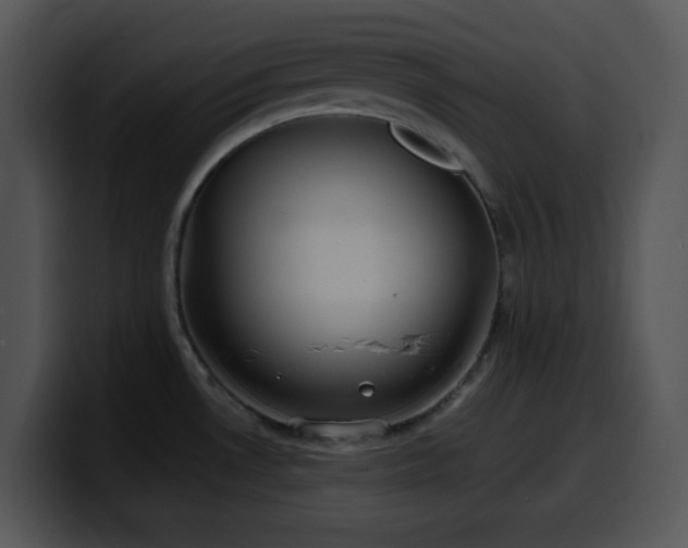 X0000100401530200806061305