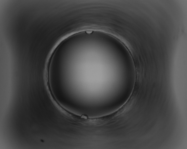 X0000100401531200806061305