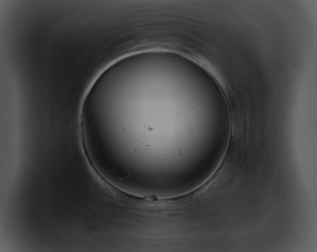 X0000100401532200806061305