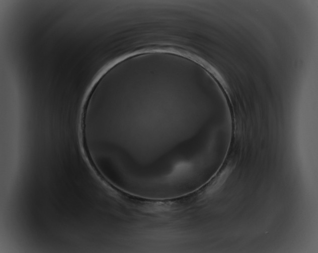 X0000100401533200806061305