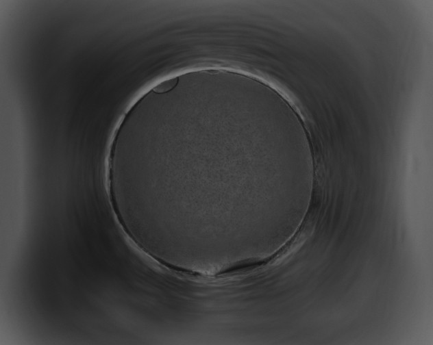 X0000100401535200806061305