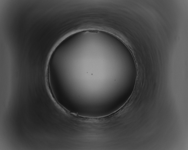 X0000100401536200806061305