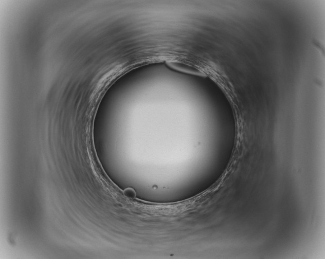 X0000100400001200806131024