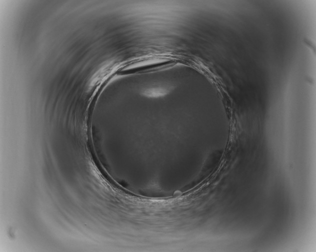X0000100400002200806131024
