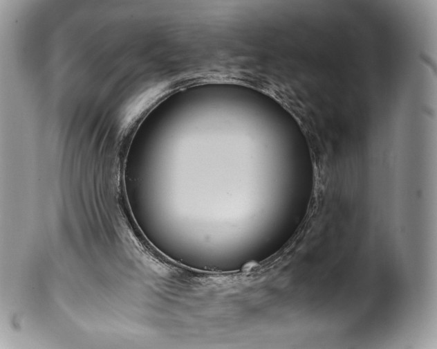 X0000100400005200806131024