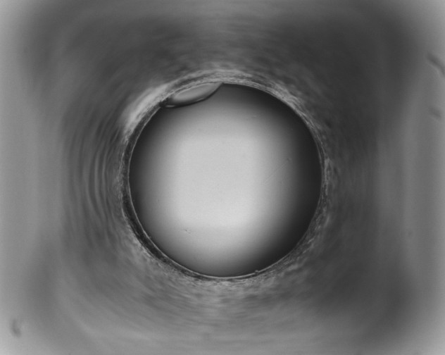 X0000100400007200806131024