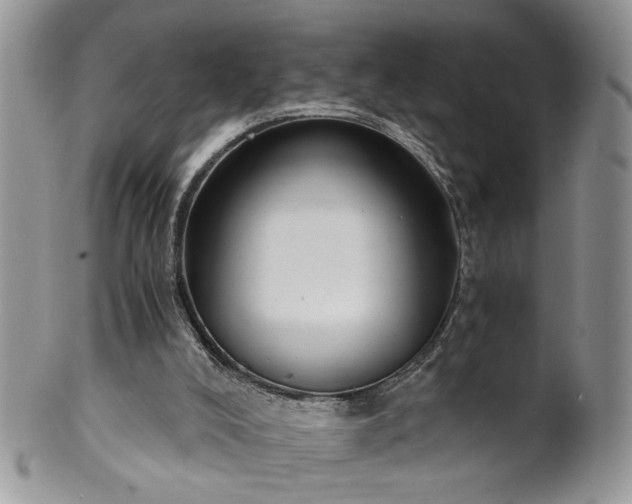 X0000100400008200806131024