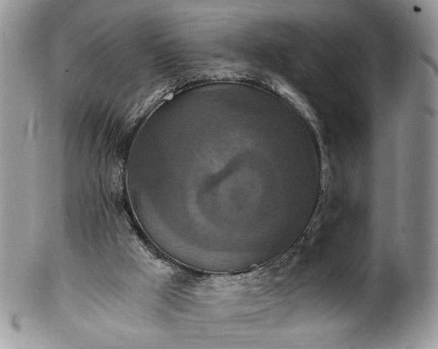 X0000100400009200806131024