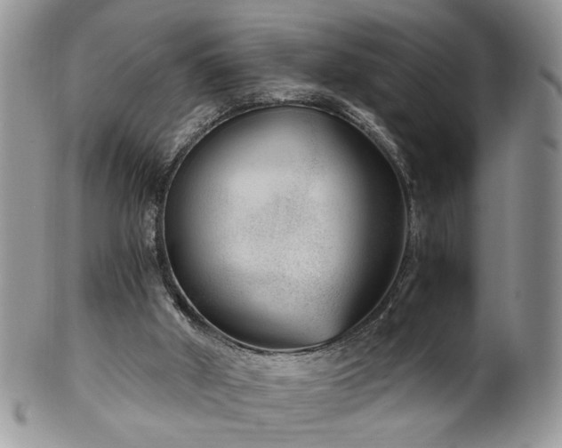 X0000100400010200806131024