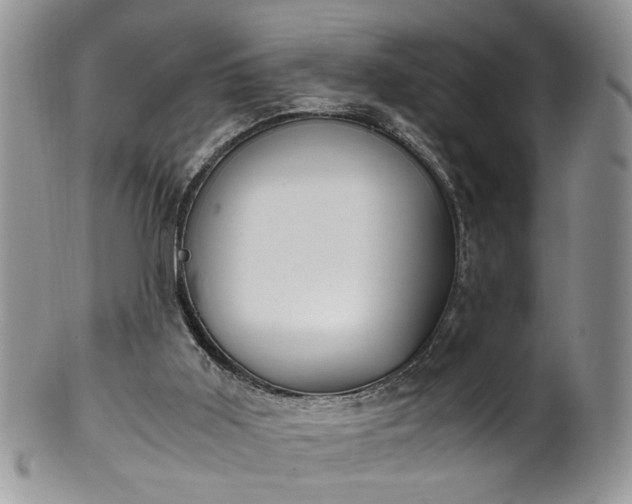 X0000100400011200806131024