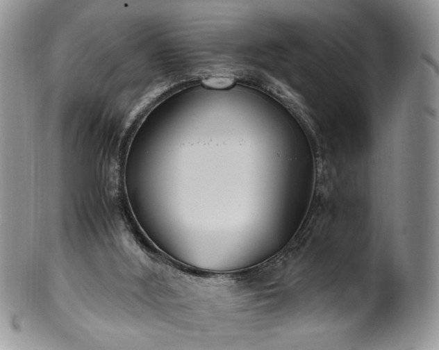 X0000100400012200806131024