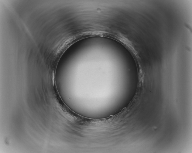 X0000100400013200806131024