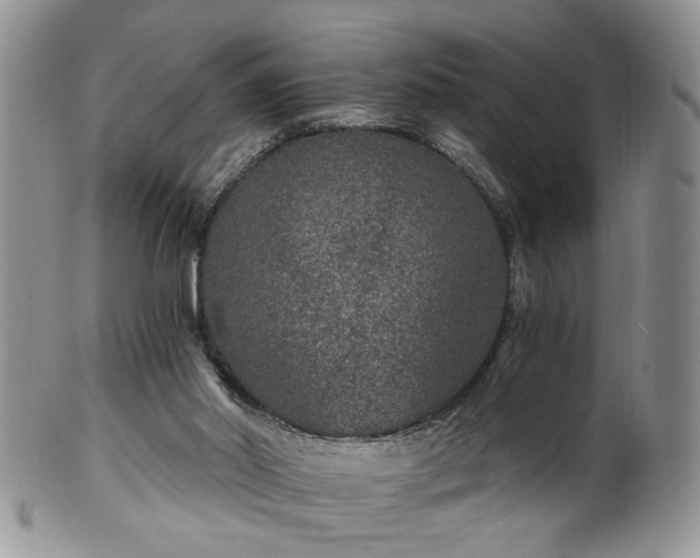 X0000100400014200806131024