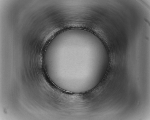 X0000100400016200806131024