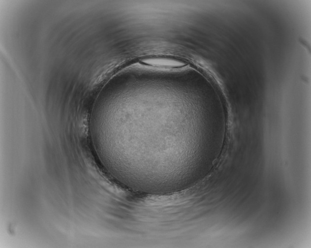 X0000100400017200806131024