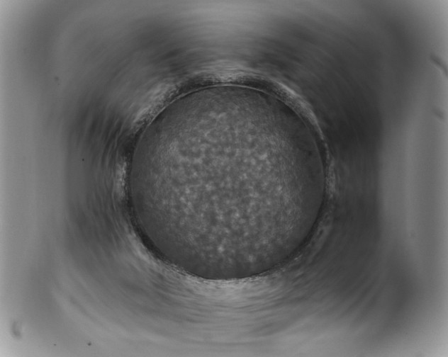 X0000100400018200806131024