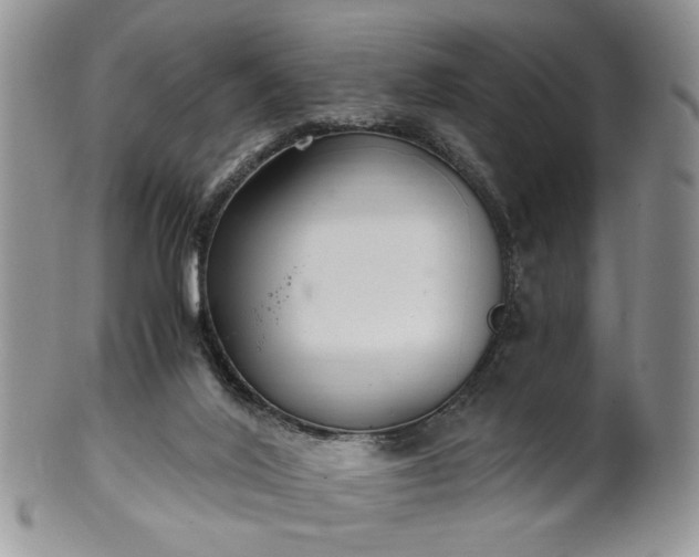 X0000100400020200806131024