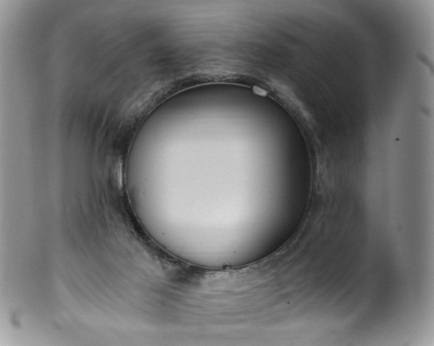 X0000100400021200806131024
