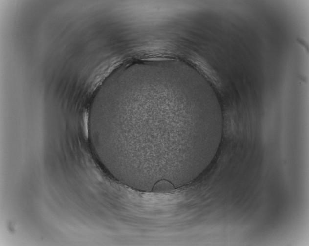 X0000100400022200806131024