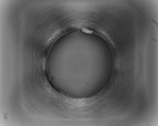 X0000100400023200806131023