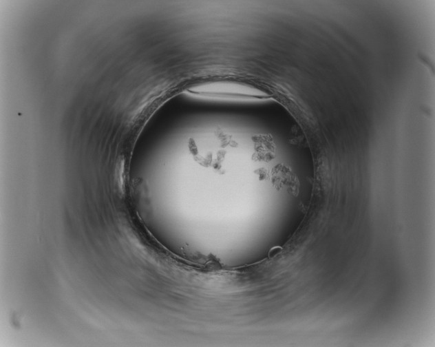 X0000100400024200806131023