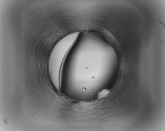 X0000100400025200806131023