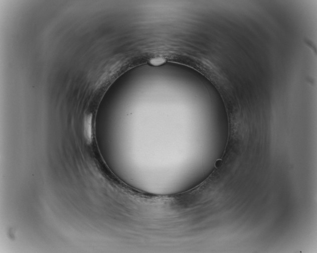 X0000100400028200806131023