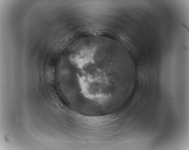 X0000100400030200806131023