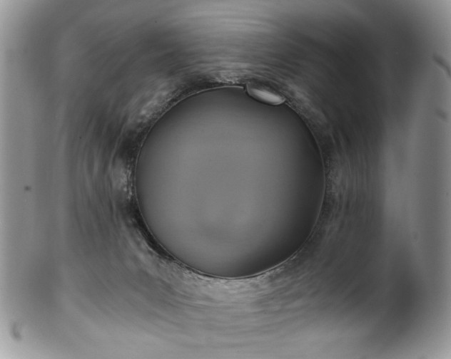 X0000100400031200806131023