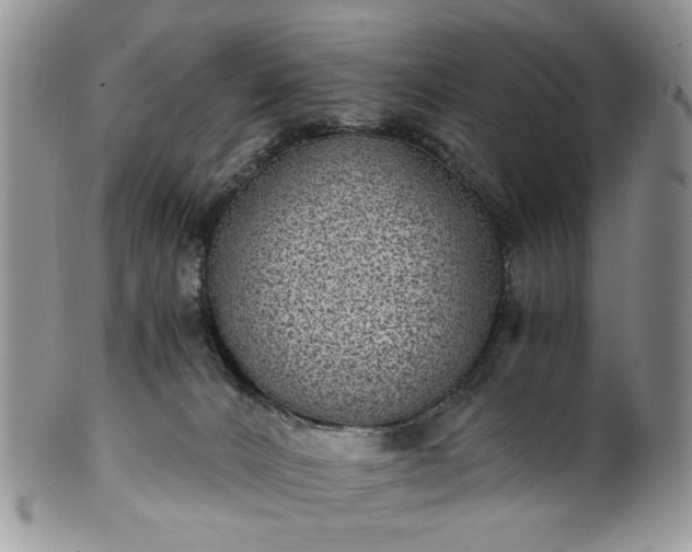 X0000100400032200806131023