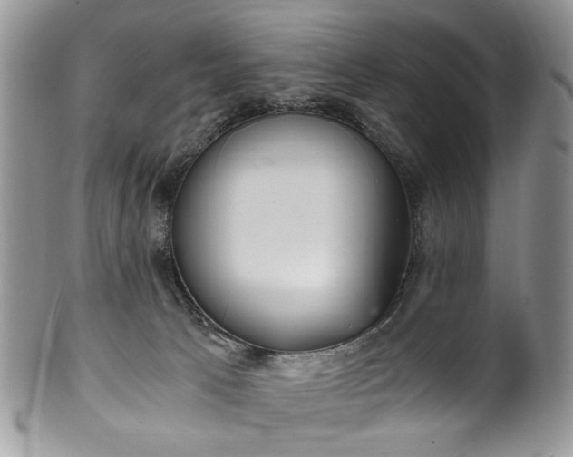X0000100400033200806131023