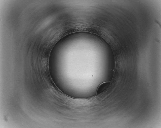 X0000100400034200806131023