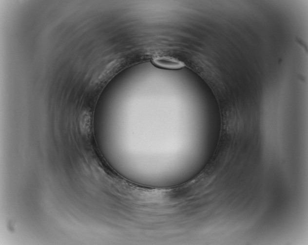 X0000100400036200806131023