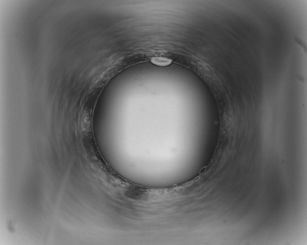 X0000100400037200806131023
