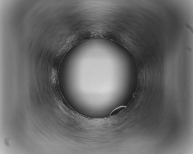 X0000100400038200806131023
