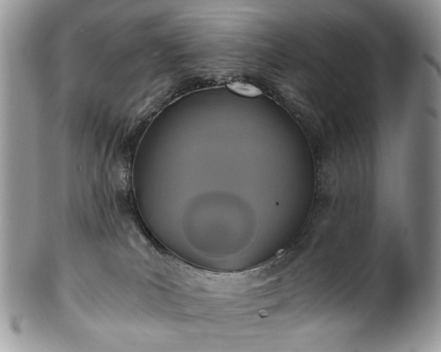 X0000100400039200806131023