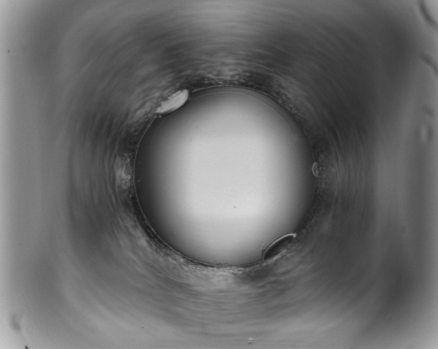 X0000100400040200806131023