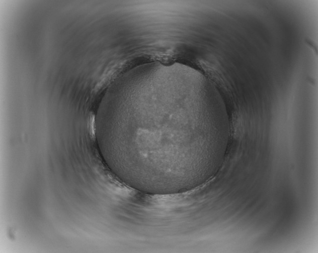X0000100400041200806131023