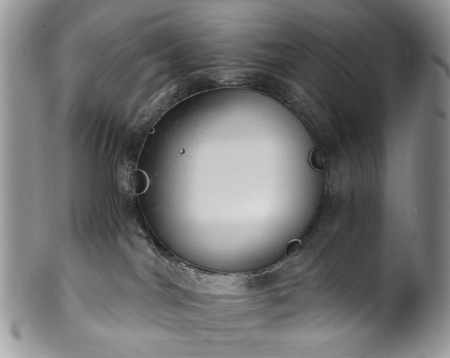 X0000100400044200806131023