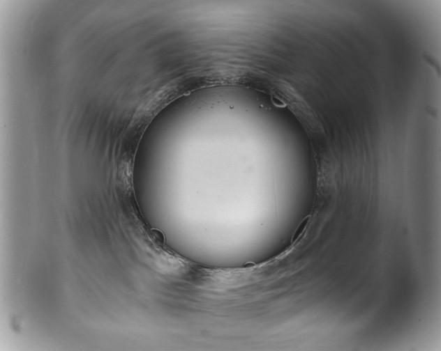 X0000100400045200806131023