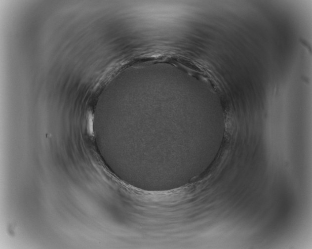 X0000100400046200806131023