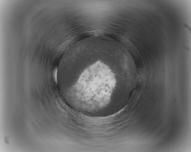 X0000100400047200806131023