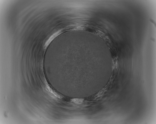 X0000100400051200806131022