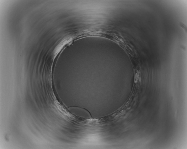X0000100400052200806131022